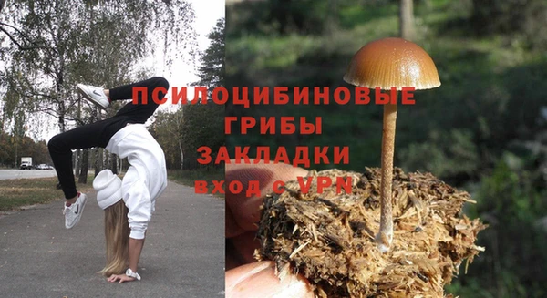 винт Чердынь