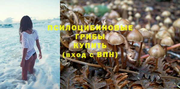 винт Чердынь