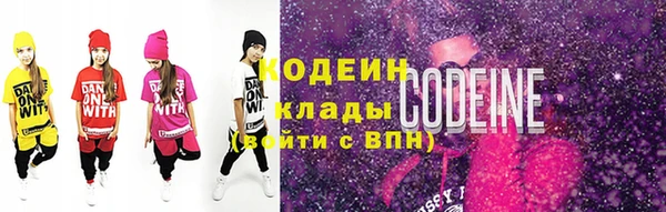 индика Усолье-Сибирское