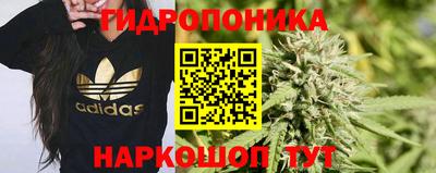 spice Кулебаки