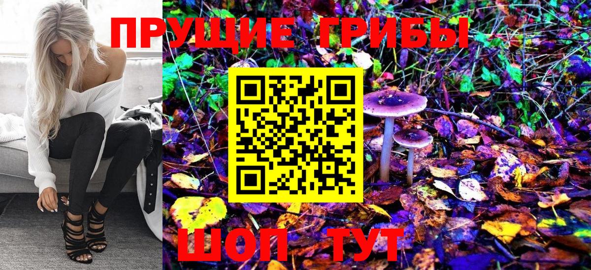 Псилоцибиновые грибы мухоморы Якутск