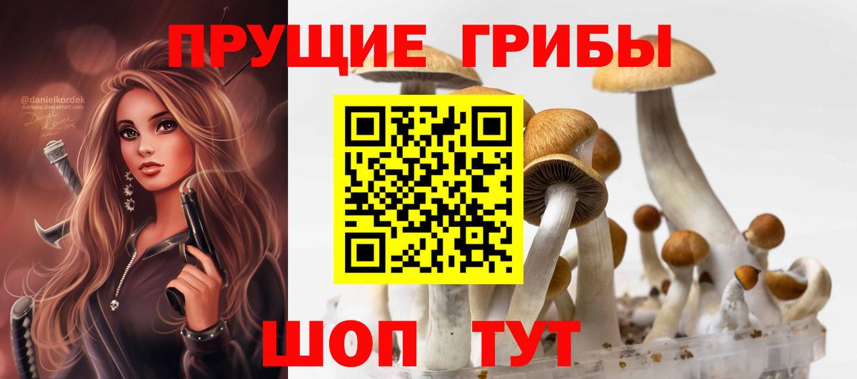 Псилоцибиновые грибы Psilocybe  Галлюциногенные грибы MAGIC MUSHROOMS  Якутск  Вход с VPN 